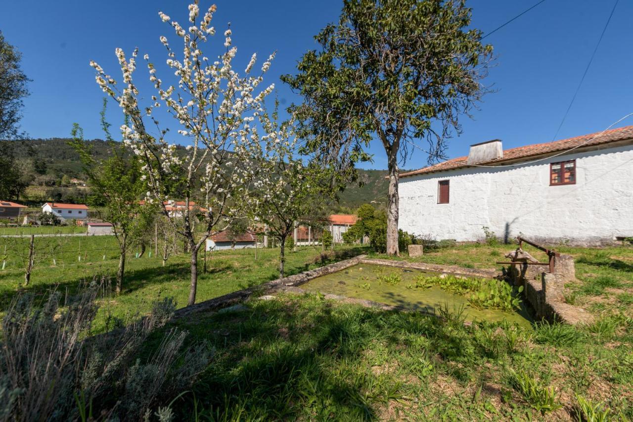 セロリコ・デ・バスト Casa Lavoura Em Requeixoゲストハウス エクステリア 写真