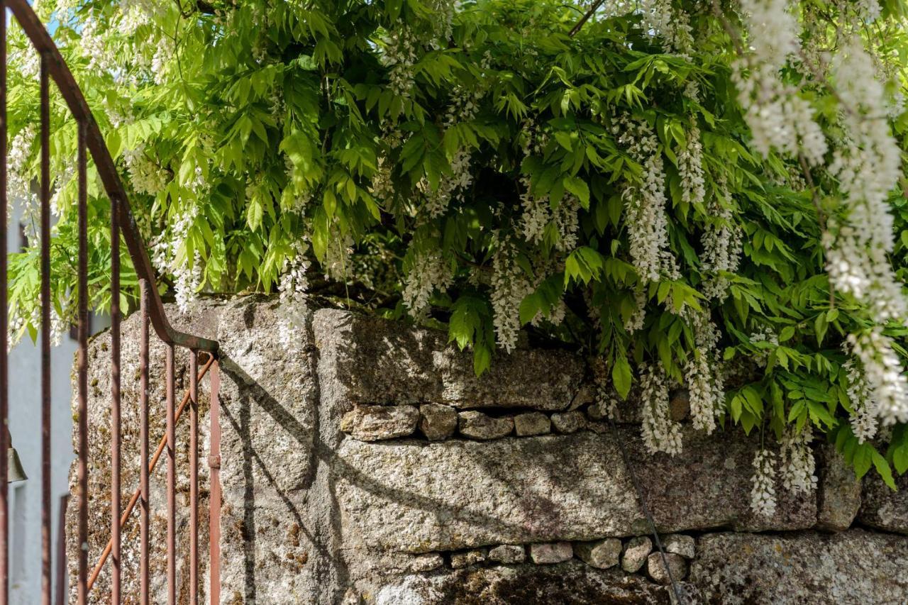 セロリコ・デ・バスト Casa Lavoura Em Requeixoゲストハウス エクステリア 写真